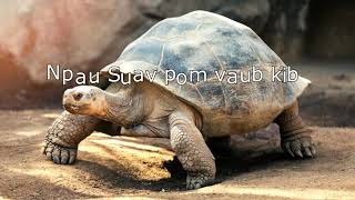 Npau Suav Pom Vaub Kib