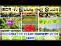 ECR-ல் இப்படி ஒரு இடமா Largest Nursery Garden  | Tour in chennai Vlog Tamil