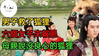 民間故事：男子救了狐狸，六個女子來報恩，母親說沒良心的狐狸#浮白載筆#民間故事#小故事#寓言故事#故事匯 #民间寓言故事#清代民间故事