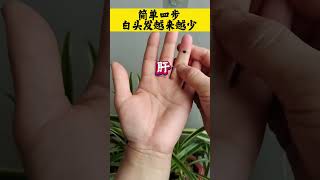 529  #手指操作用大简单四步，让你白发越来越少#关注我跟我涨知识一起锻炼💪  #手部穴位按摩 #学会快去试试吧🔥 #小动作大作用贵在坚持