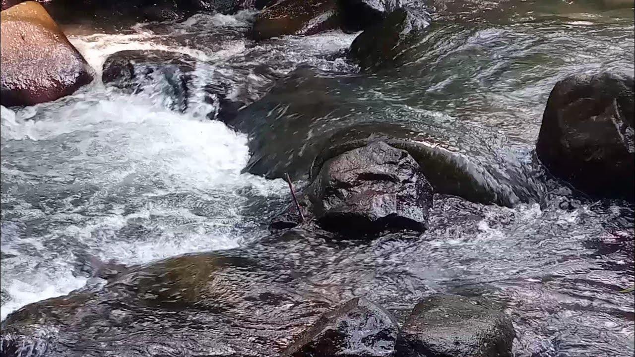 Suara Gemericik Air Suara Air Jernih Mengalir Deras Dan Suara Burung