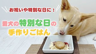 【簡単手作り犬ご飯】お祝いや特別な日に！愛犬の特別な日の手作りごはん【帝塚山ハウンドカム】