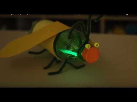 Glowing Firefly Recycled Bottle Craft Glowing Firefly Recycled Bottle Craft