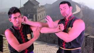 Learn Wing Chun's Wu Sau in One Minute | Sifu Tei