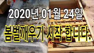 2020년 01월24일 봄벌 깨우기 시작 합니다.