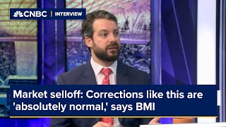 Market selloff: Corrections like this are 'absolutely normal,' says BMI