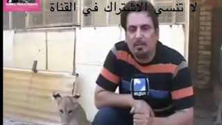 سحكات عراقيه تموت ضحك