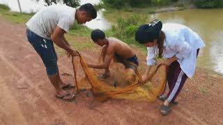 Beautiful Girl Net Fishing  to Catch Big fish | Cambodia - Khmer Net Fishing