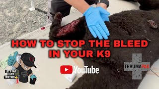 How to Stop The Bleed in your K9