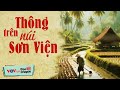 [KÊNH CHÍNH CHỦ] Đọc Truyện Đêm Khuya Đài Tiếng Nói Việt Nam VOV 16/4/2024 - Thông Trên Núi Sơn Viện