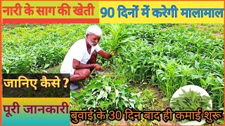 नारी के🥬साग की व्यावसायिक खेती || karemua ki kheti || water spinach farming || kangkong farming.