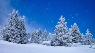 Beautiful Relaxing Music, Peaceful Soothing Instrumental Music, "Winter Woods" by Tim Janis