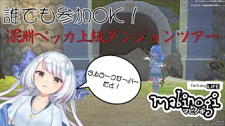 【マビノギ】参加型で深淵ペッカ上級ダンジョンツアー！【海月サオラ/VTuber】