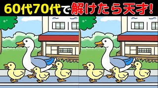 【間違い探し】 60代以上の8割が解けない！[隠された詳細を見つけよう/記憶力/認知症予防] #1