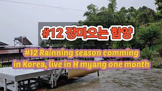 #12 Rainning ASMR in Korea one hour, Hamyang [live in Hamyang one month] 비오는날 ASMR 한국 함양 [함양 한달살기]