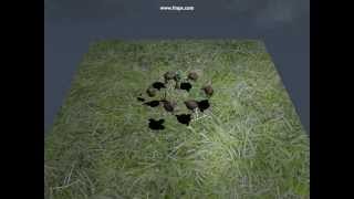 Shadow Mapping and Skybox in GLSL