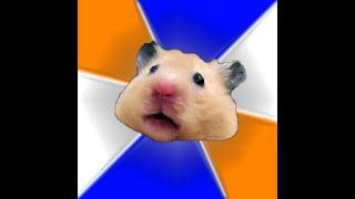 hamster feeding syringe being used with ion chromatography membranes, what could possibly go wrong?