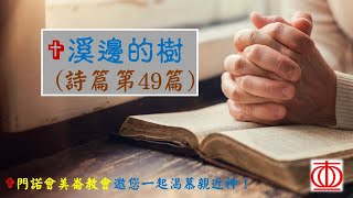 溪邊的樹～詩篇第49篇