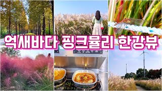 억새바다 핑크뮬리 댑싸리 잠자리 보면서 힐링하고 한강에서 라면 먹어보기 / 서울 나들이 / 가을 여행