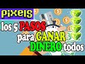 ¡Rentabiliza PIXELS NFT al Máximo con Estos 5 Pasos y Tips para Ganar en Todos los Criptogames! 🌟💰