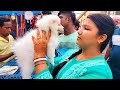 Galiff Street Pet Market Kolkata | Gallif street kolkata | dog market in kolkata | pet market