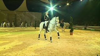 Cheval passion : le cheval Camargue en spectacle et les métiers du cheval