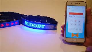 Programmable LED Dog Collar Instructional Video