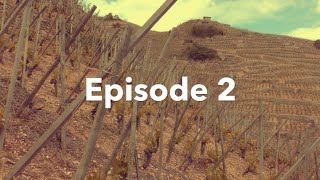 The Wine Tour: Northern Rhone, Episode 2