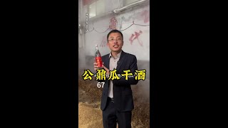 山东鼐公酒厂，正版公鼐原厂原标瓜干酒。 #好酒推荐 #鼐公公鼐瓜干酒 #喝点小酒