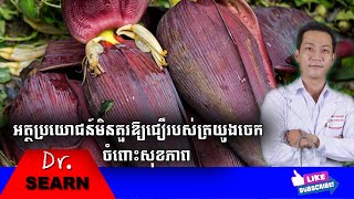 Top Health Benefits of Banana Flower អត្ថប្រយោជន៍ចំពោះសុខភាពមិនគួរឲ្យជឿរបស់ត្រយ៉ូងចេក