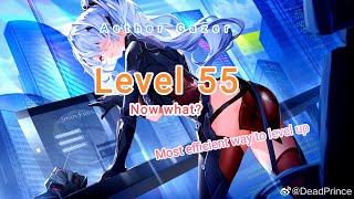 Aether Gazer Leveling Guide Level 55