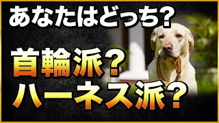 あなたはどっち？首輪派？ハーネス派？