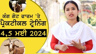 Kang Goat Farm - ਕੰਗ ਗੋਟ ਫਾਰਮ 'ਤੇ ਪ੍ਰੈਕਟੀਕਲ ਟ੍ਰੇਨਿੰਗ  4,5 ਮਈ 2024 | Bakri Farm|Breeding  | बकरी पालन