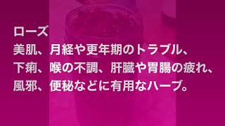 若返りの香水〜ハンガリーウォーター〜