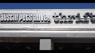 Austin Pets Alive Thrift - Wolf TV Season 4 Episode 4