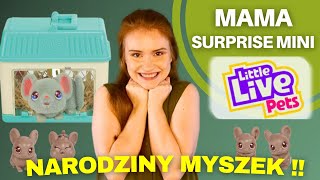 MAMA Z MYSZKAMI LITTLE LIVE PETS OD COBI✨| RECENZJA