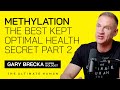 Methylation Explained | The Best Kept Optimal Health Secret Part 2 with Gary Brecka