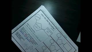 DNA Nucleotide Doodle Notes
