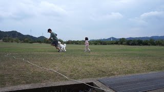 大型犬とガチンコ鬼ごっこ対決したら娘の成長を感じた