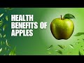 Health benefits of Apples|The 5 benefits of apples that will amaze you