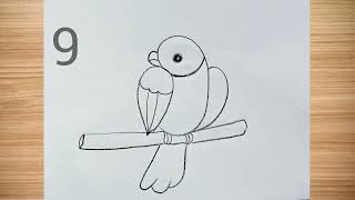 how to draw parrot drawing easy step by step@DrawingTalent