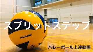 【バレーボール上達動画】ディグのスプリットステップ