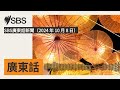 sbs廣東話新聞（2024 年 10 月 8 日） sbs cantonese sbs廣東話節目