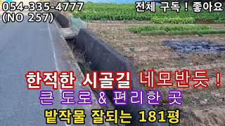 (NO 257) 조용한 2차선국도옆 네모반듯 181평 ! 건축20%/전기 가능 ! 면소재지 8분, 고속IC 10분 !(가격조절 6500만원)