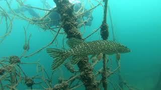 Potápění lom Borek, Scuba Diving Czech Republic