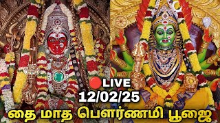 12/02/25 தை மாத பௌர்ணமி பூஜை | Salem Samayapuram Mariamman | Erode Jayanthi's Kitchen #kovil