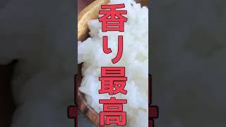 【1分で解説】羽釜で美味しいご飯の炊き方【香り最高!!もはやミシュラン!!直火炊飯】 #shorts