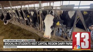 Brooklyn students visit Kinderhook dairy farm