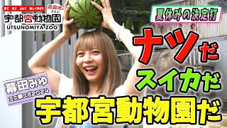 【宇都宮動物園】カバとゾウに暑中見舞い