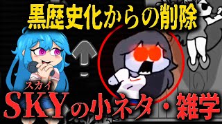 【FNF 小ネタ】とある理由で配信中止になった伝説のMOD…Skyに関する小ネタ雑学【Friday Night Funkin】